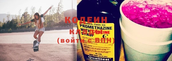 прущие грибы Осташков