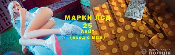 прущие грибы Осташков