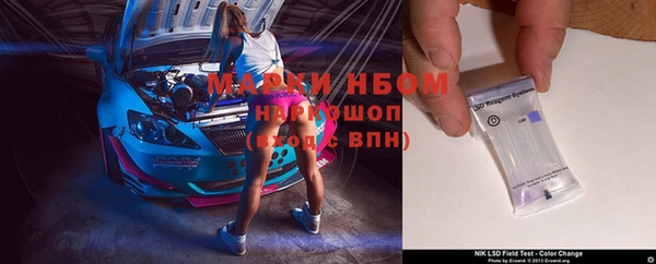 прущие грибы Осташков