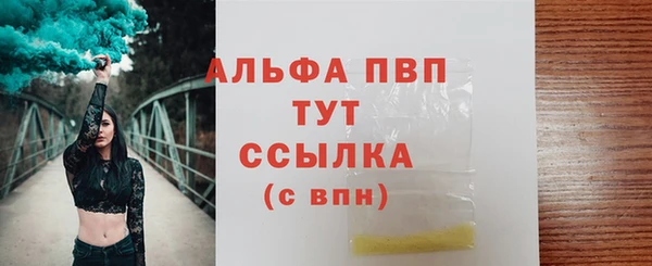 PSILOCYBIN Осинники