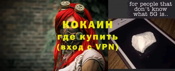 PSILOCYBIN Осинники