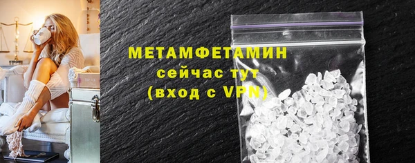 прущие грибы Осташков
