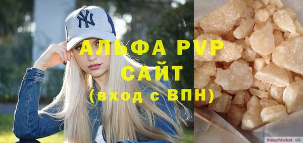 прущие грибы Осташков