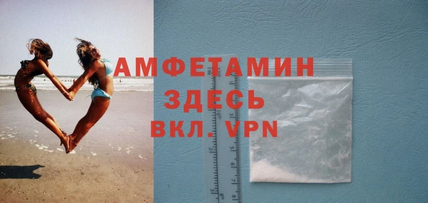 прущие грибы Осташков