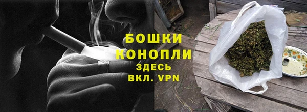PSILOCYBIN Осинники