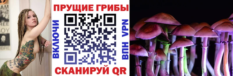 где можно купить   Муром  Галлюциногенные грибы прущие грибы 